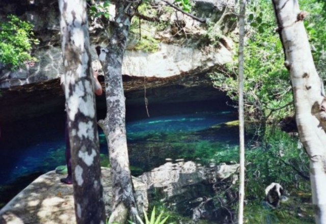 Cenote para nadar con snorkel